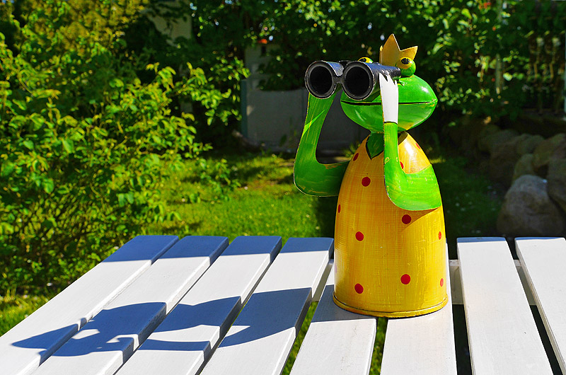 zur &Uuml;bersicht Zum Schmunzeln 4