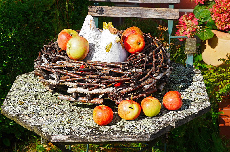 zur &Uuml;bersicht Zum Schmunzeln 5