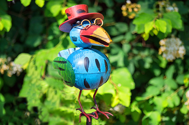 zur &Uuml;bersicht Zum Schmunzeln 6