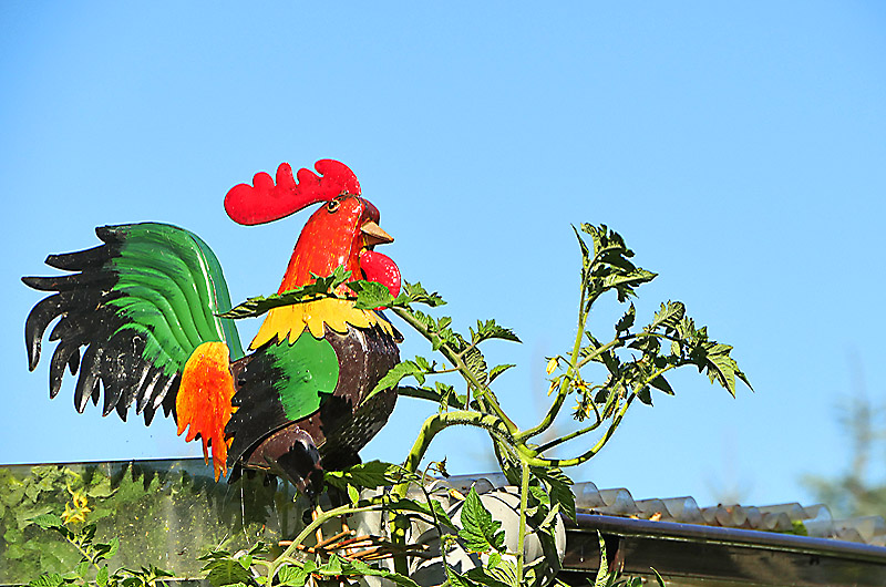 zur &Uuml;bersicht Zum Schmunzeln 6