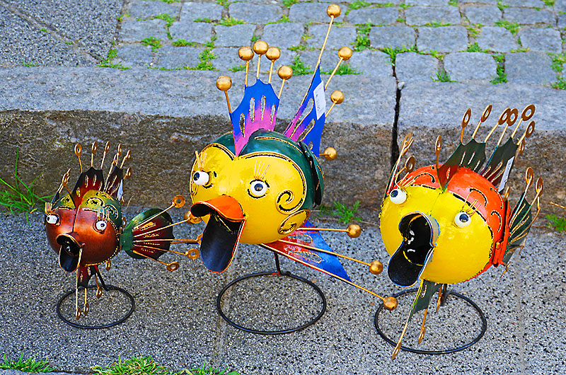 zur &Uuml;bersicht Zum Schmunzeln 6