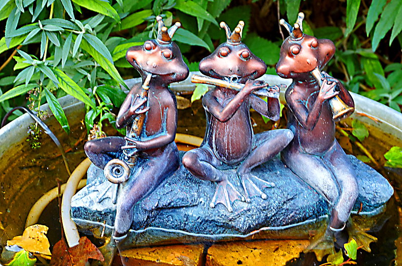 zur &Uuml;bersicht Zum Schmunzeln 7