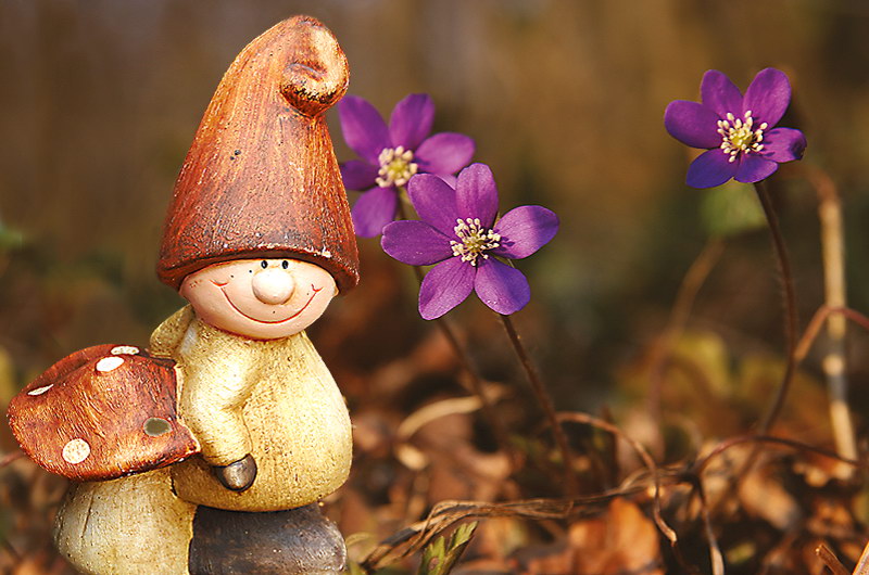 zur &Uuml;bersicht Zum Schmunzeln 7